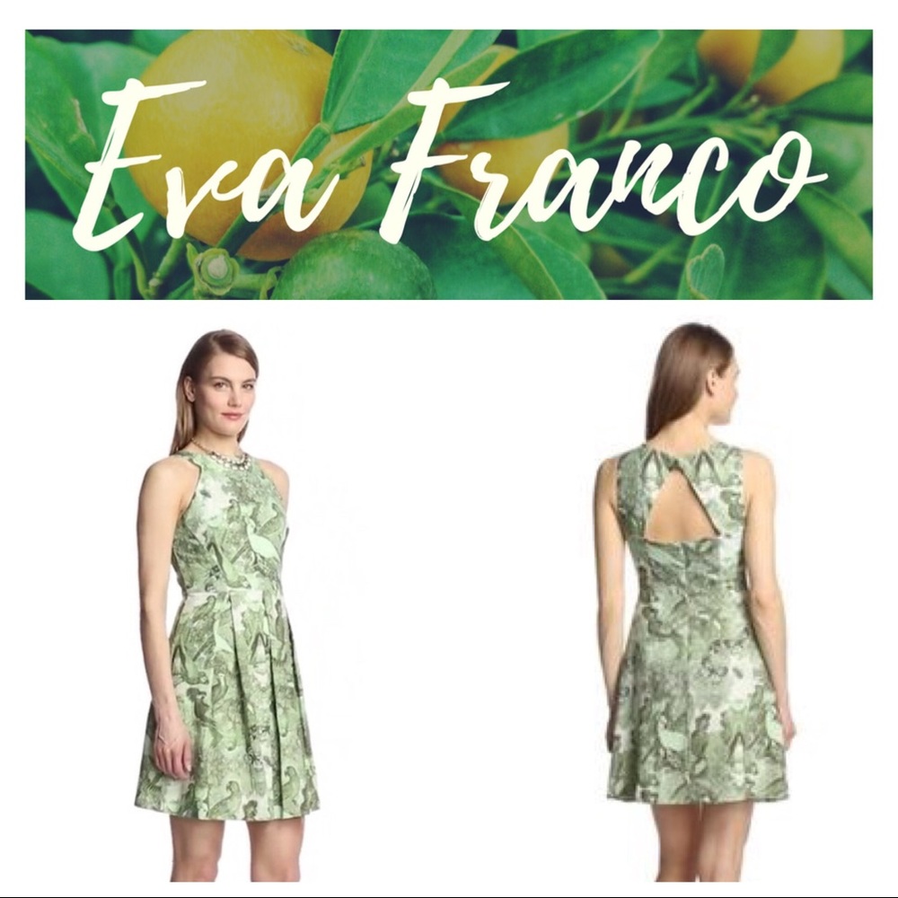 Eva Franco Parrot Dress size 0